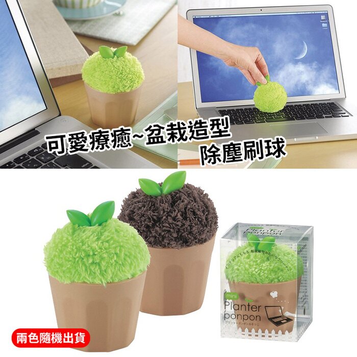 盆栽除塵刷球球